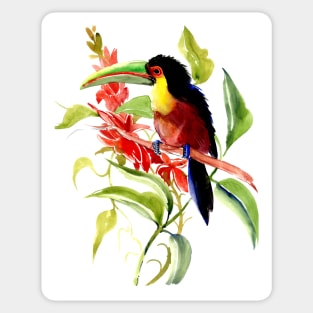 Green-billed toucan Tropical Jungle design Sticker